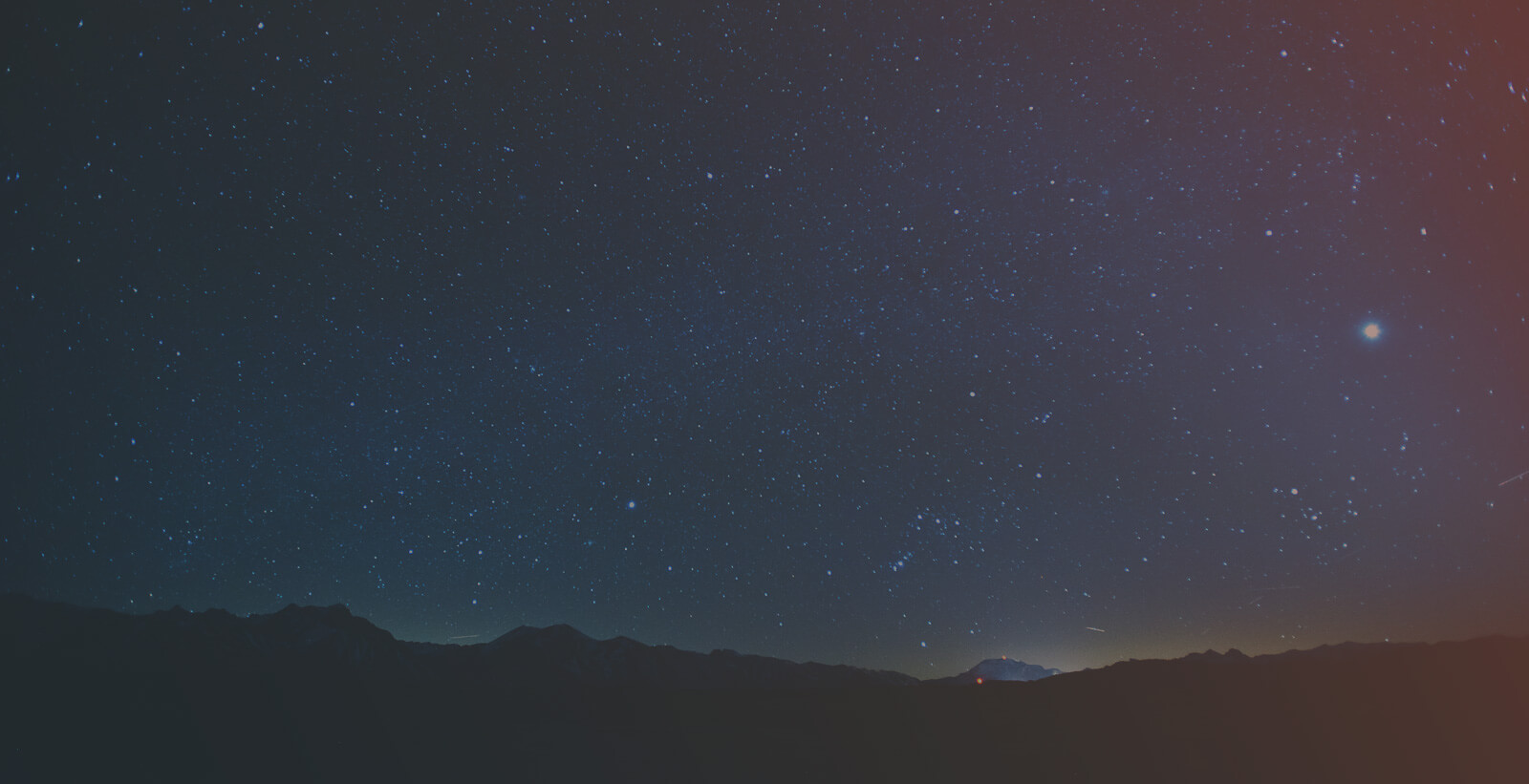 GingerBite Technology